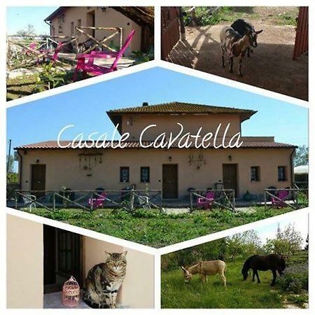 Casale Cavatella Bed and Breakfast Sermoneta Exteriör bild