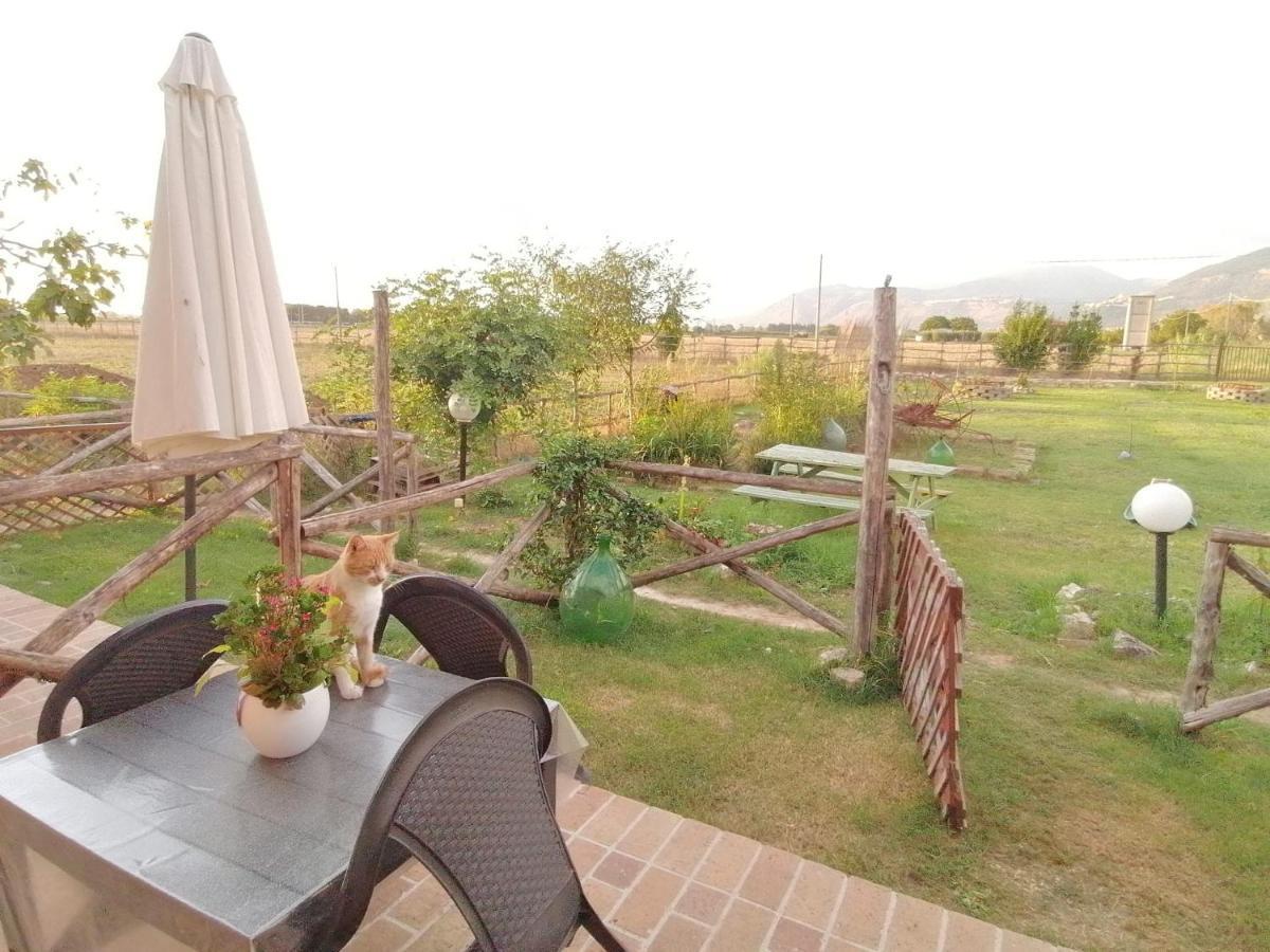 Casale Cavatella Bed and Breakfast Sermoneta Exteriör bild