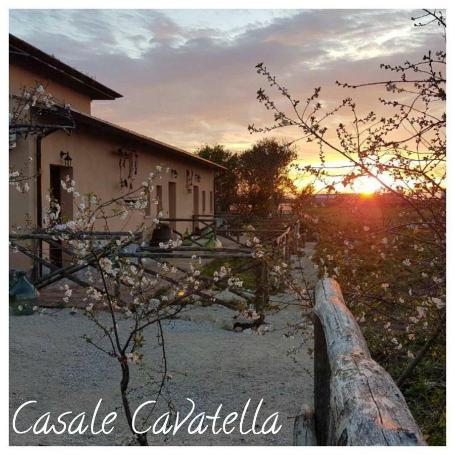 Casale Cavatella Bed and Breakfast Sermoneta Exteriör bild